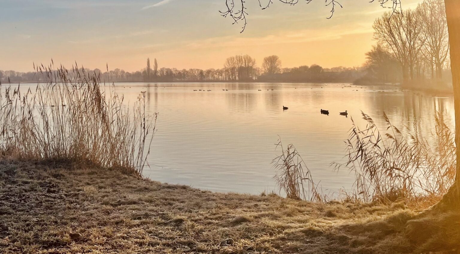 Natuurrijke omgeving bij de Wijde Aa in Zwolle, op 700 meter van Huis Lemurie voor Multidimensionale healing, holistische therapie en kundalini